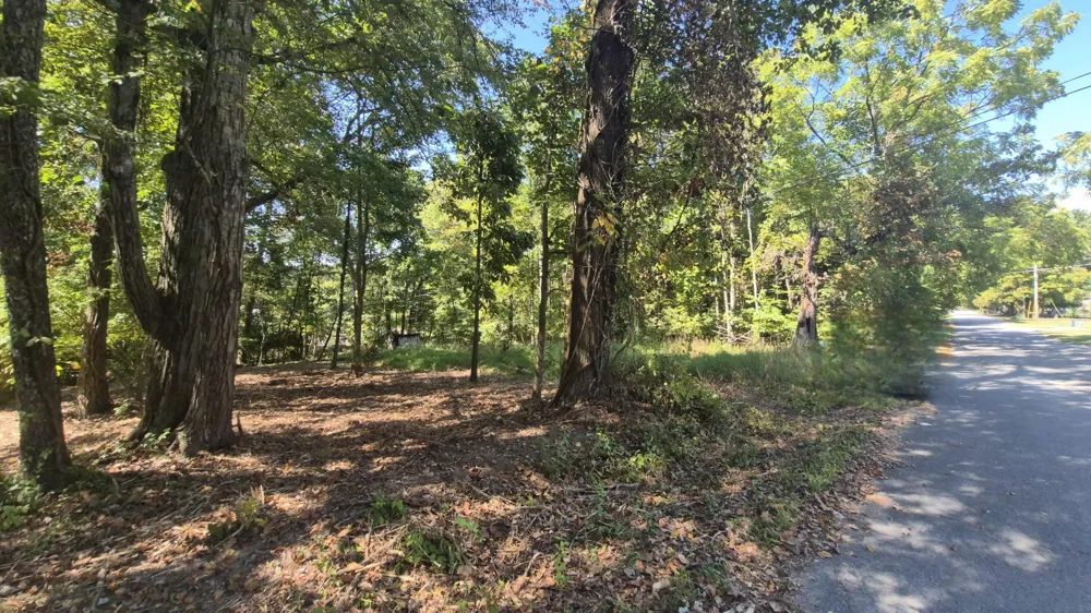 0 Spring Street Monteagle, TN 37356
