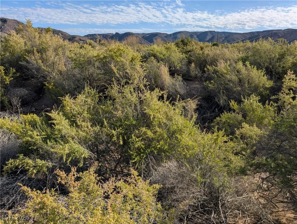 US Hwy 93 (15.92 AC) Caliente, NV 89008