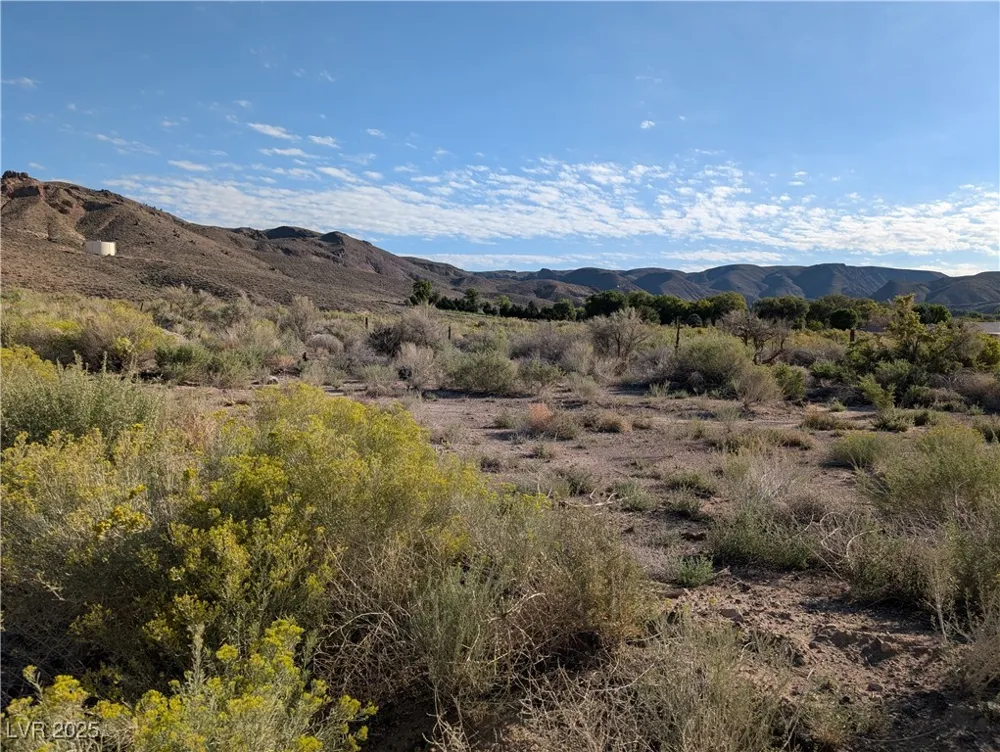 US Hwy 93 (15.92 AC) Caliente, NV 89008