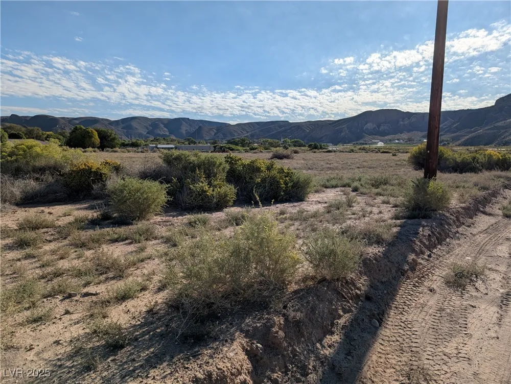 US Hwy 93 (15.92 AC) Caliente, NV 89008