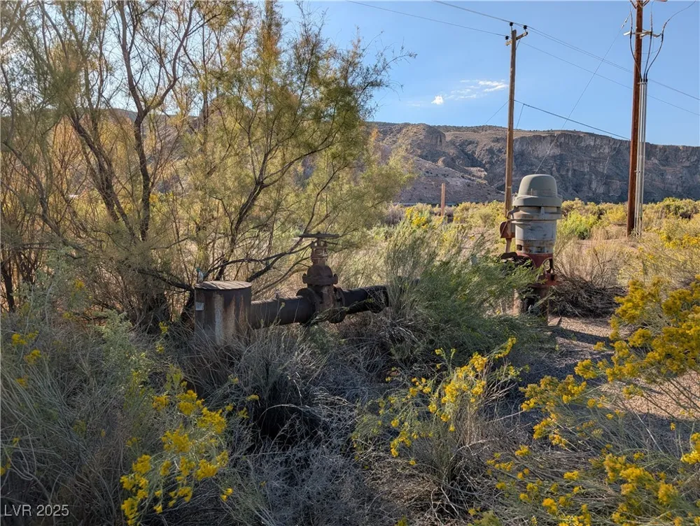 US Hwy 93 (15.92 AC) Caliente, NV 89008