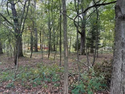 129 Midway Street Belding, MI 48809