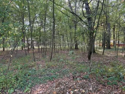 129 Midway Street Belding, MI 48809