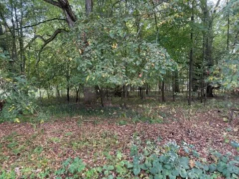 129 Midway Street Belding, MI 48809