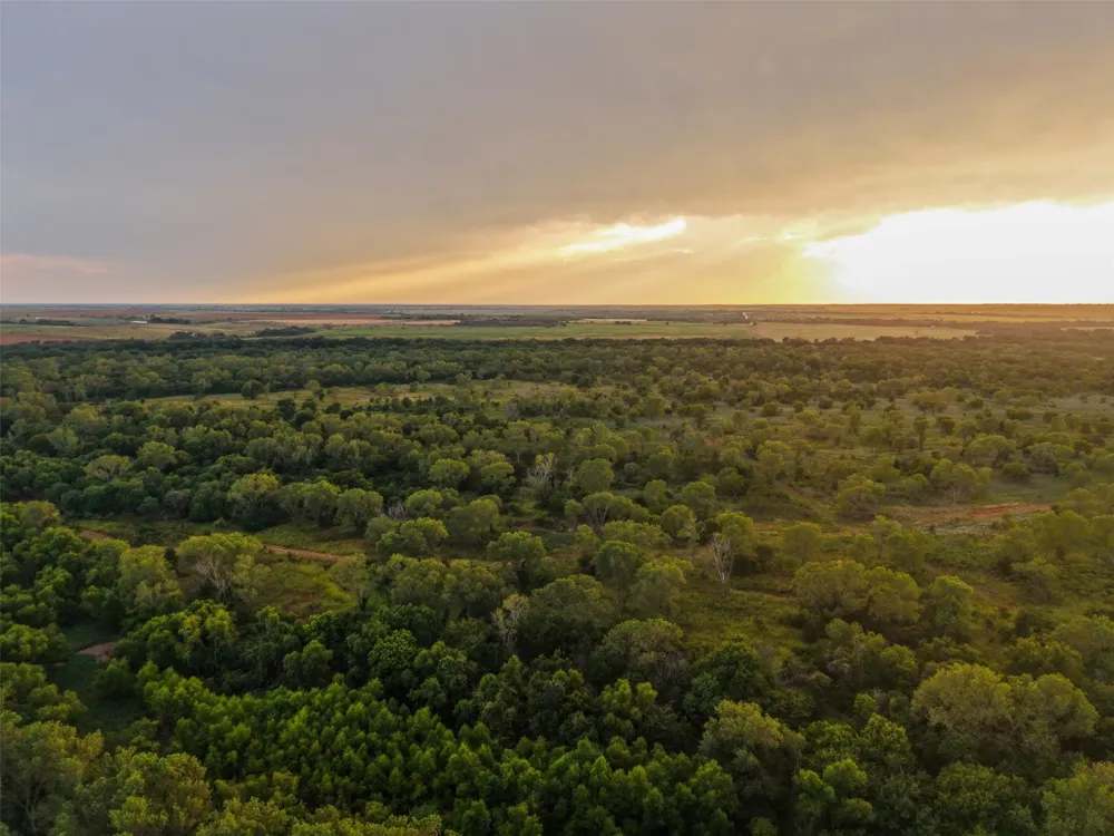 6977 E FM 171 Byers, TX 76357