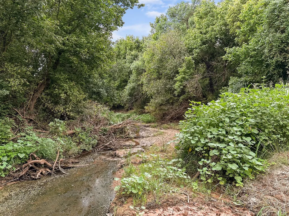 6977 E FM 171 Byers, TX 76357