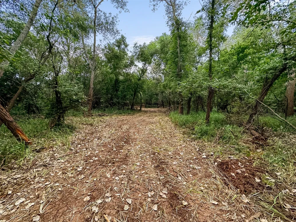 6977 E FM 171 Byers, TX 76357
