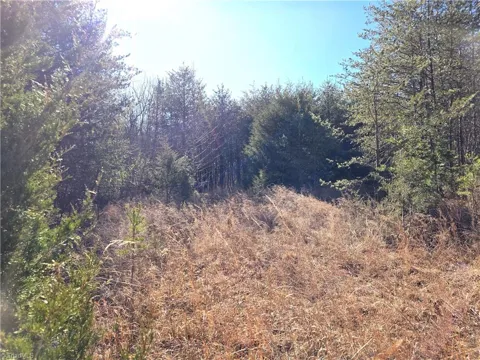 xx- 17.5 acres+- NC Highway 268