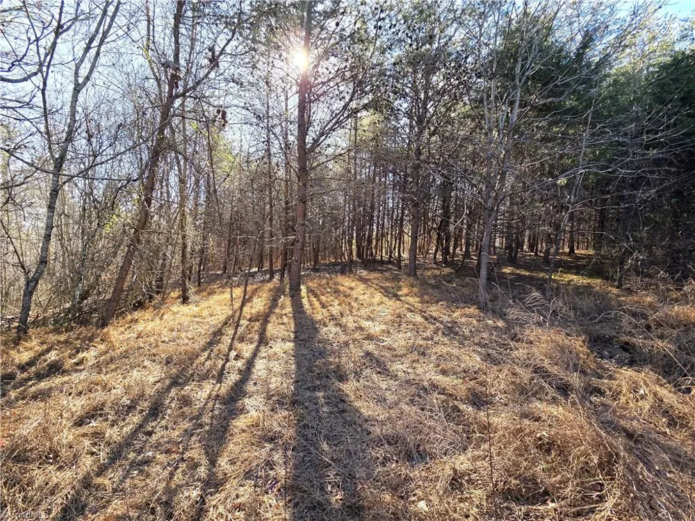 xx- 17.5 acres+- NC Highway 268 Pinnacle, NC 27043