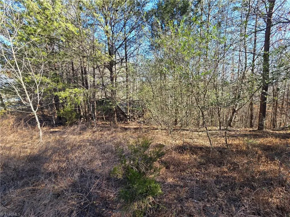 xx- 17.5 acres+- NC Highway 268 Pinnacle, NC 27043