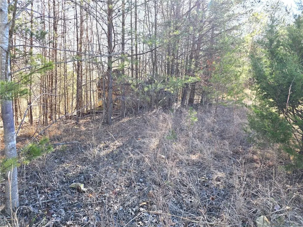 xx- 17.5 acres+- NC Highway 268 Pinnacle, NC 27043
