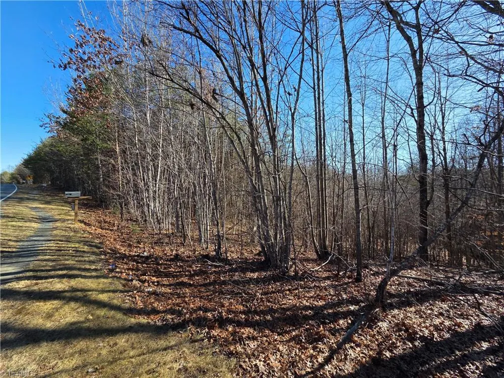 xx- 17.5 acres+- NC Highway 268 Pinnacle, NC 27043