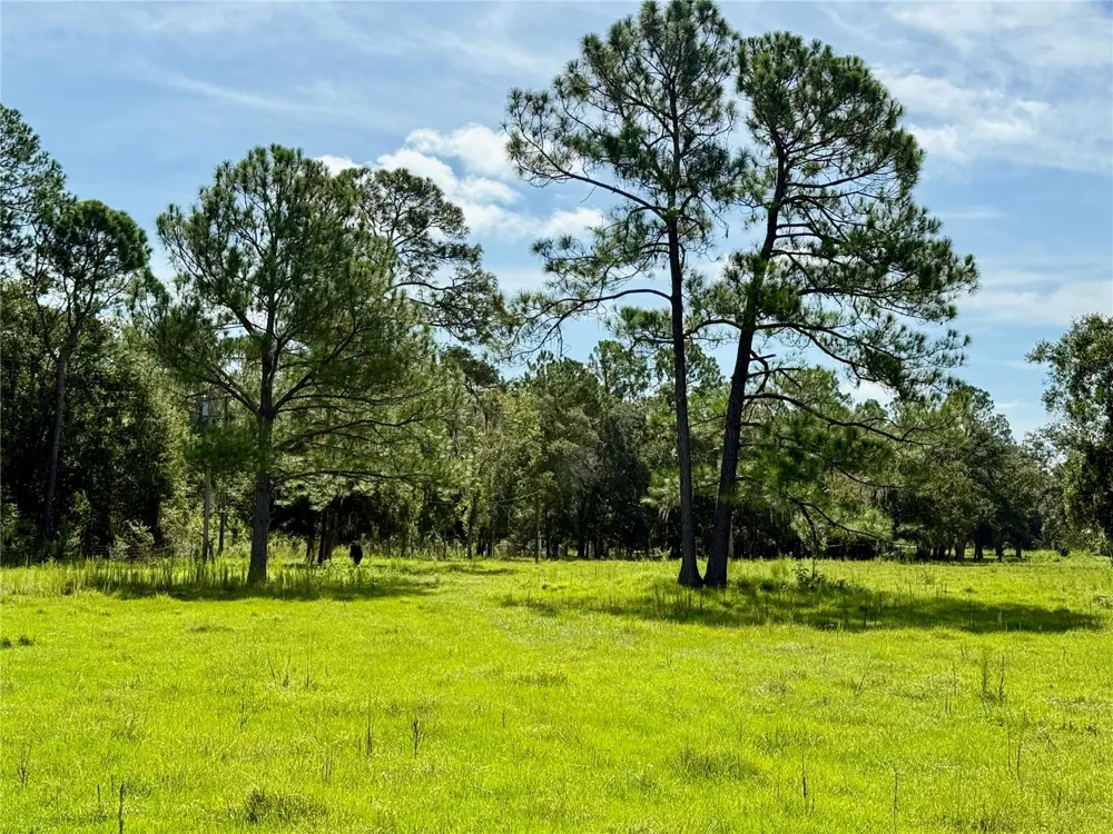 10460 EHREN CUTOFF Land O Lakes, FL 34639