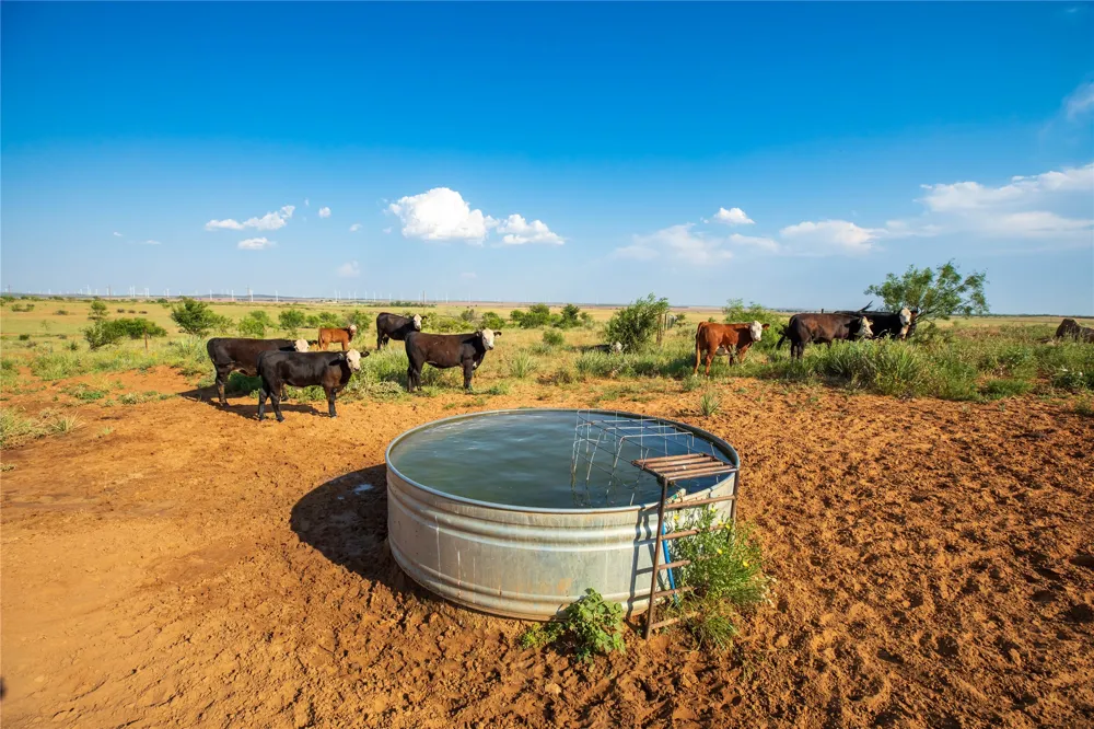 County Road 458 Colorado City, TX 79512