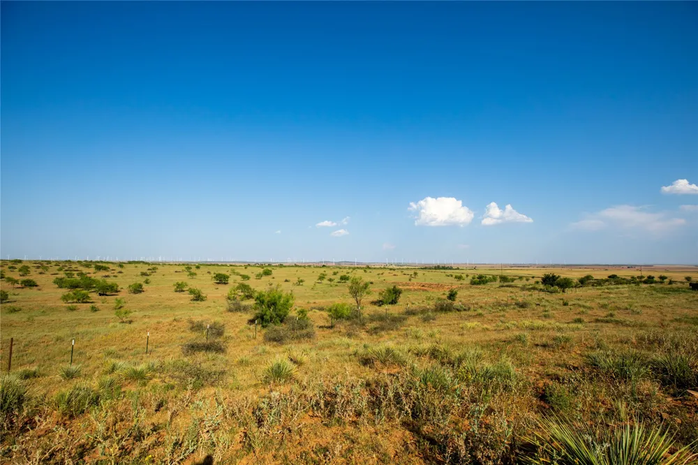County Road 458 Colorado City, TX 79512
