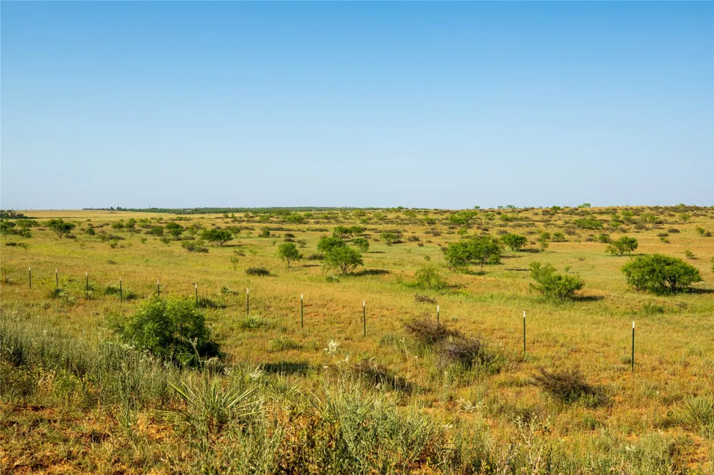 County Road 458 Colorado City, TX 79512