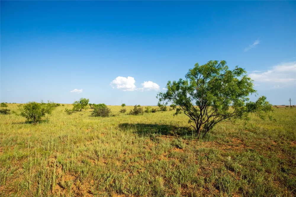County Road 458 Colorado City, TX 79512