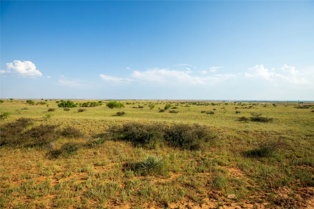 County Road 458 Colorado City, TX 79512