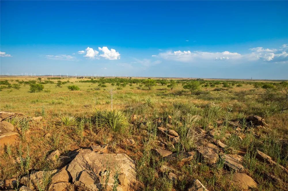 County Road 458 Colorado City, TX 79512