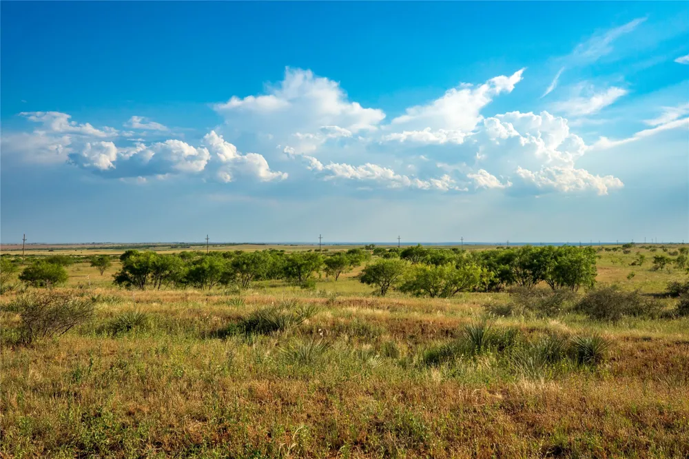 County Road 458 Colorado City, TX 79512