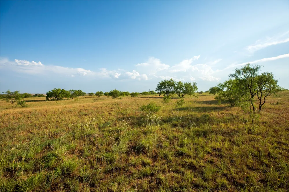 County Road 458 Colorado City, TX 79512