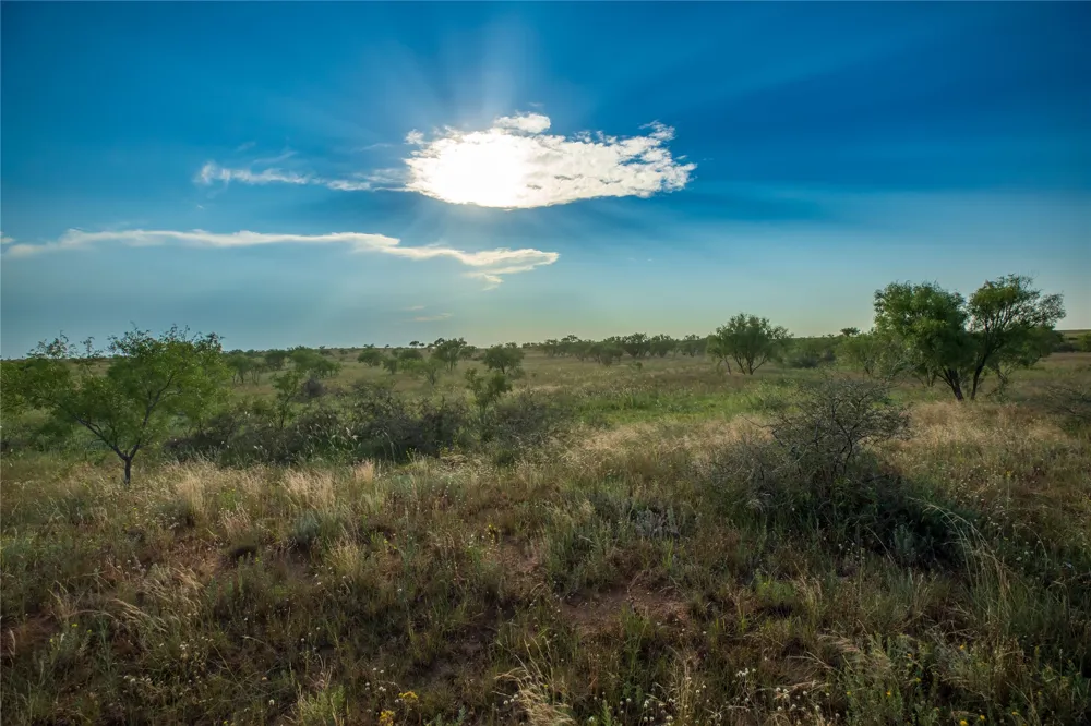 County Road 458 Colorado City, TX 79512