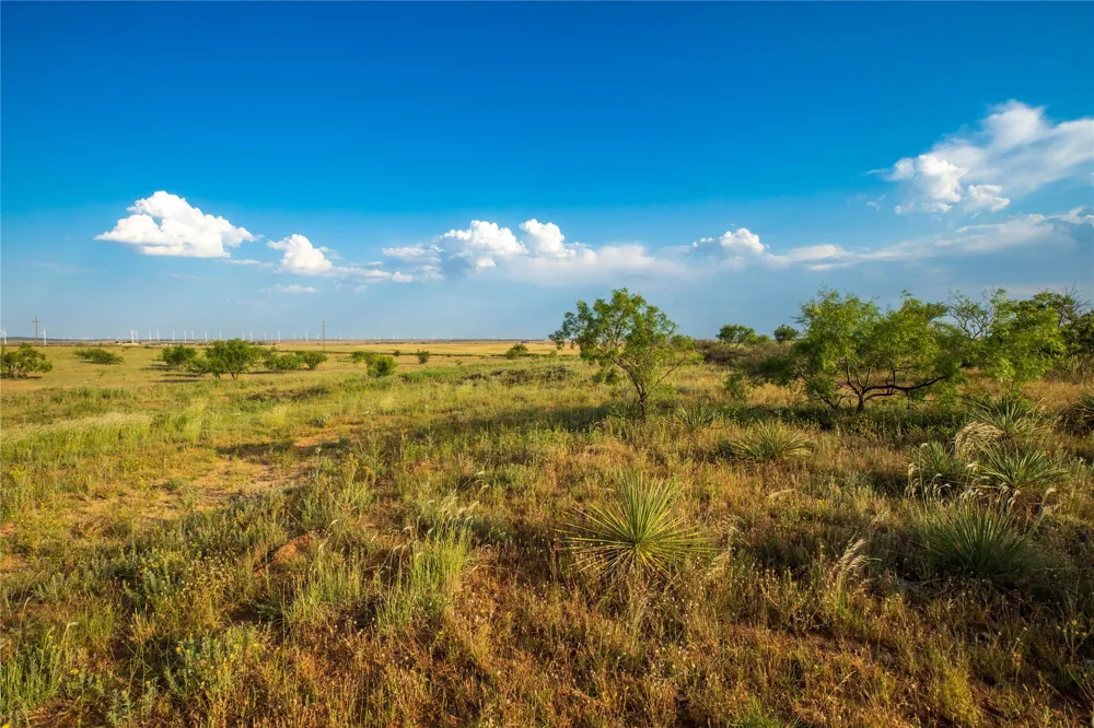 County Road 458 Colorado City, TX 79512