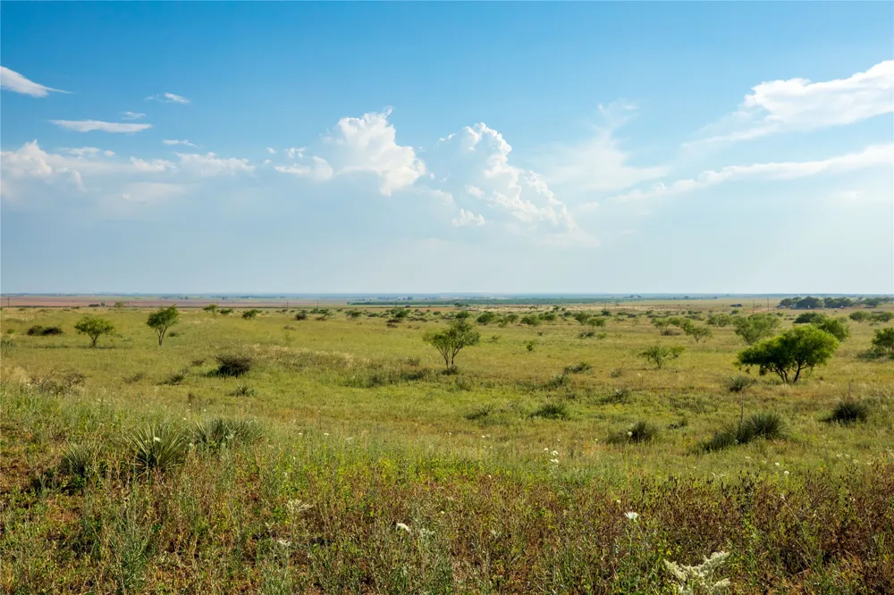 County Road 458 Colorado City, TX 79512