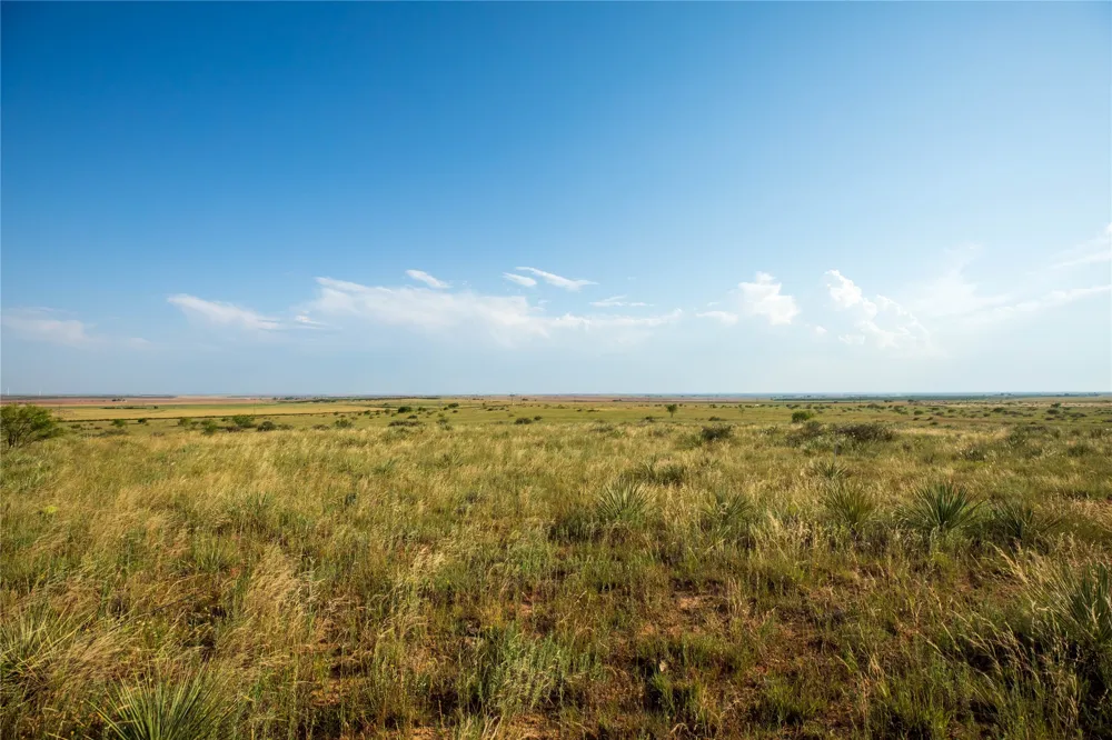 County Road 458 Colorado City, TX 79512