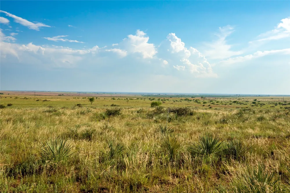 County Road 458 Colorado City, TX 79512