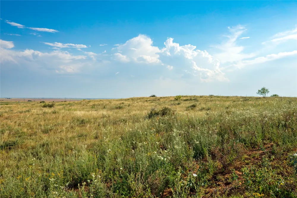 County Road 458 Colorado City, TX 79512