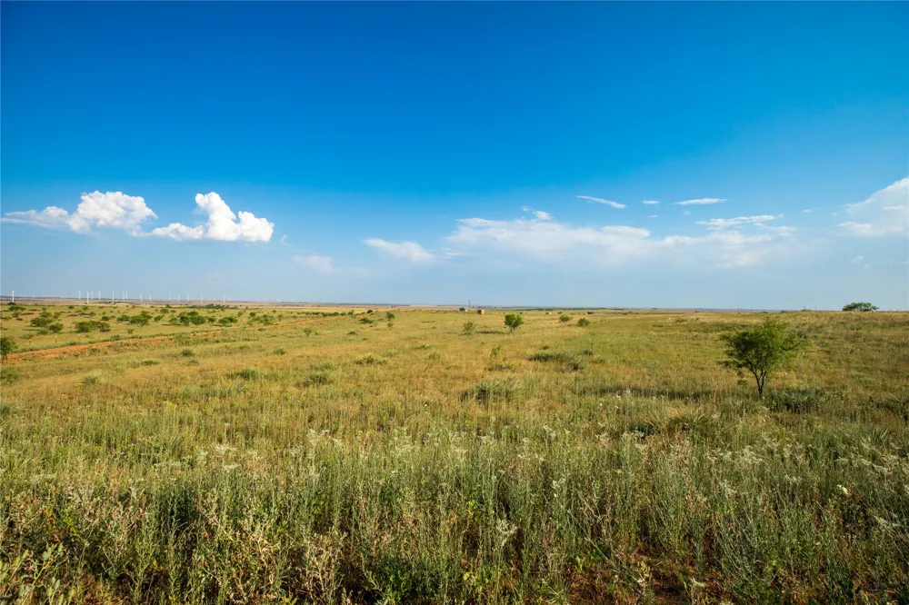 County Road 458 Colorado City, TX 79512