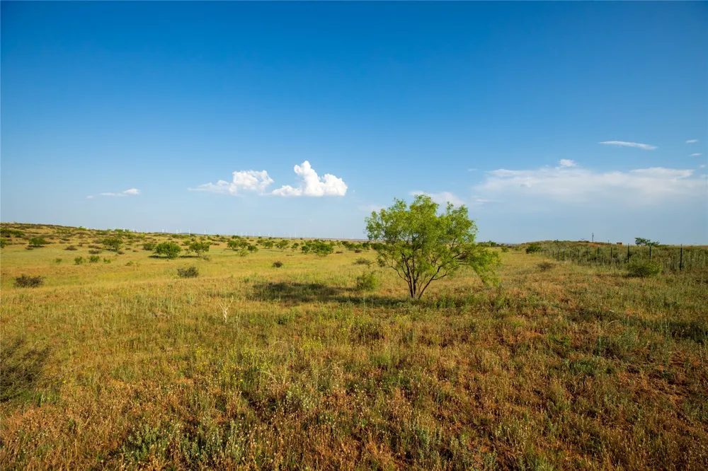 County Road 458 Colorado City, TX 79512