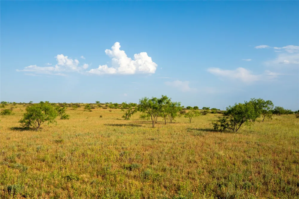County Road 458 Colorado City, TX 79512