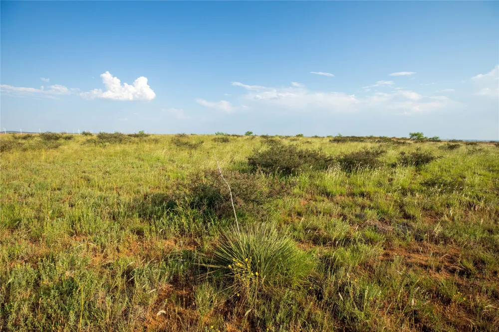 County Road 458 Colorado City, TX 79512