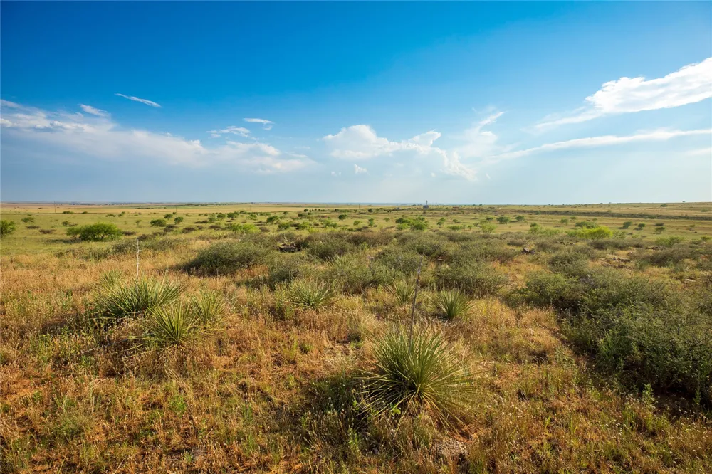 County Road 458 Colorado City, TX 79512
