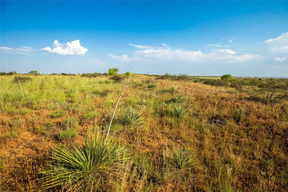 County Road 458 Colorado City, TX 79512