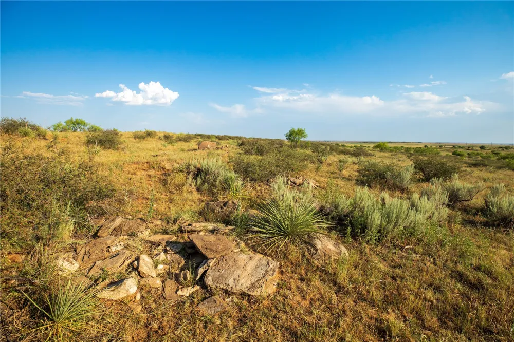 County Road 458 Colorado City, TX 79512