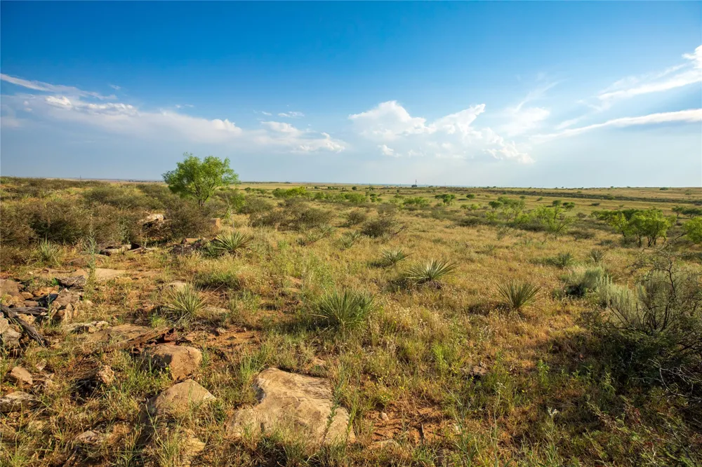 County Road 458 Colorado City, TX 79512