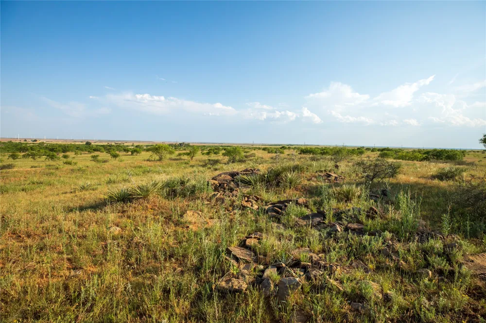 County Road 458 Colorado City, TX 79512
