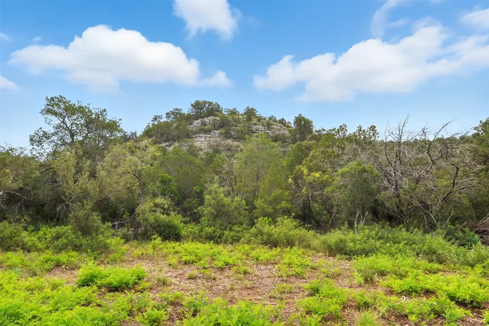 1922 SD 65071 Rocksprings, TX 78880
