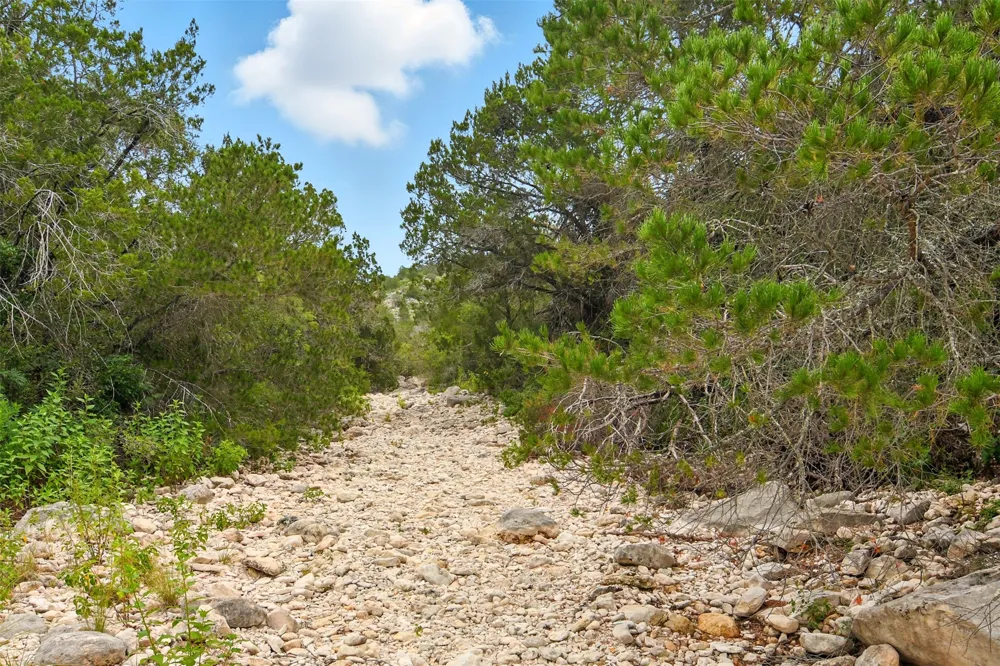 1922 SD 65071 Rocksprings, TX 78880