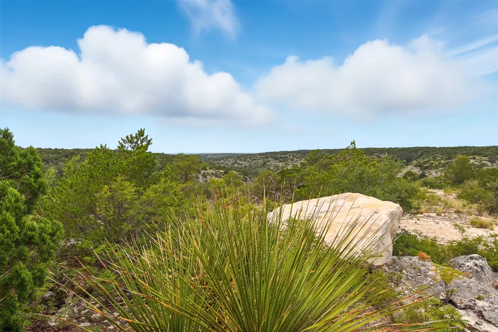 1922 SD 65071 Rocksprings, TX 78880