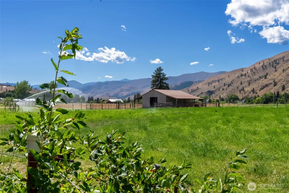 54 B Ross Road #B Twisp, WA 98856