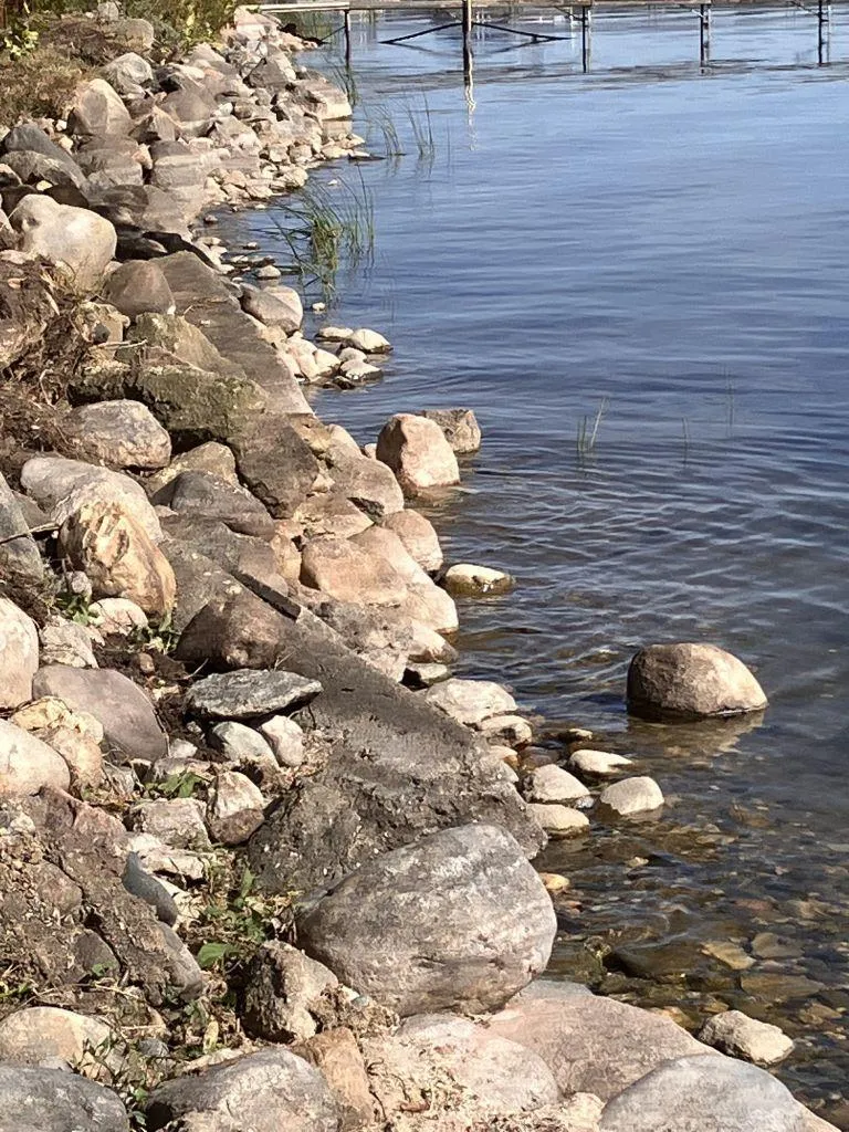 238XX Lake Shore Drive Glenwood, MN 56334