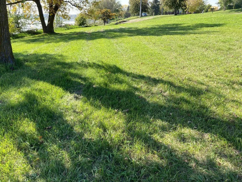 238XX Lake Shore Drive Glenwood, MN 56334