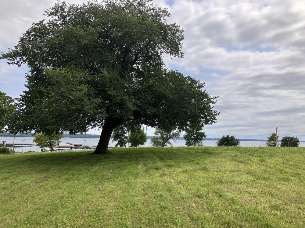 238XX Lake Shore Drive Glenwood, MN 56334
