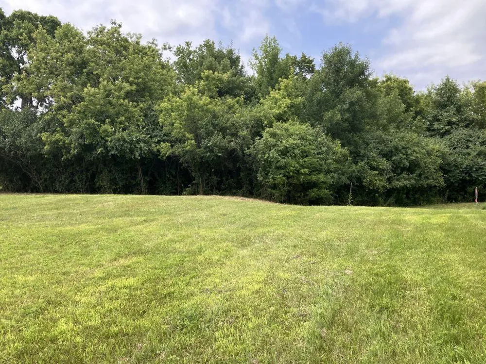 238XX Lake Shore Drive Glenwood, MN 56334