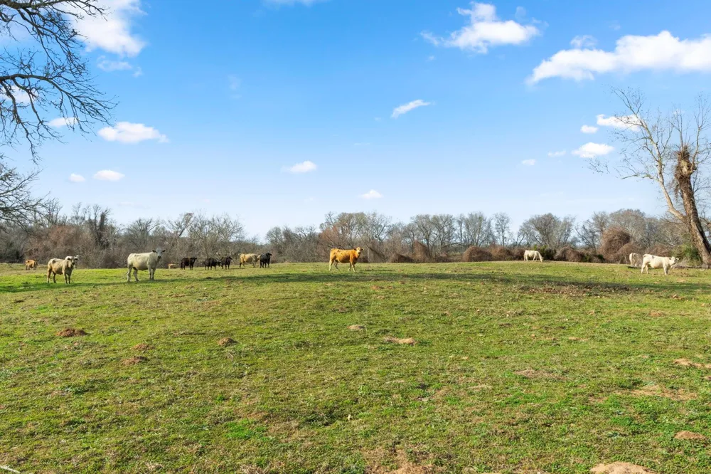 Shaws Bend Rd Columbus, TX 78934