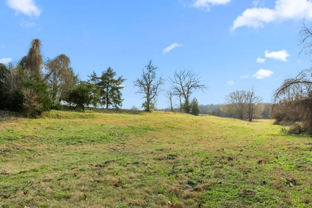 Shaws Bend Rd Columbus, TX 78934
